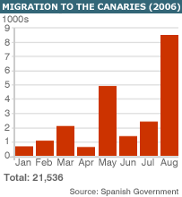 _42075114_migr_canaries2_203gr.gif