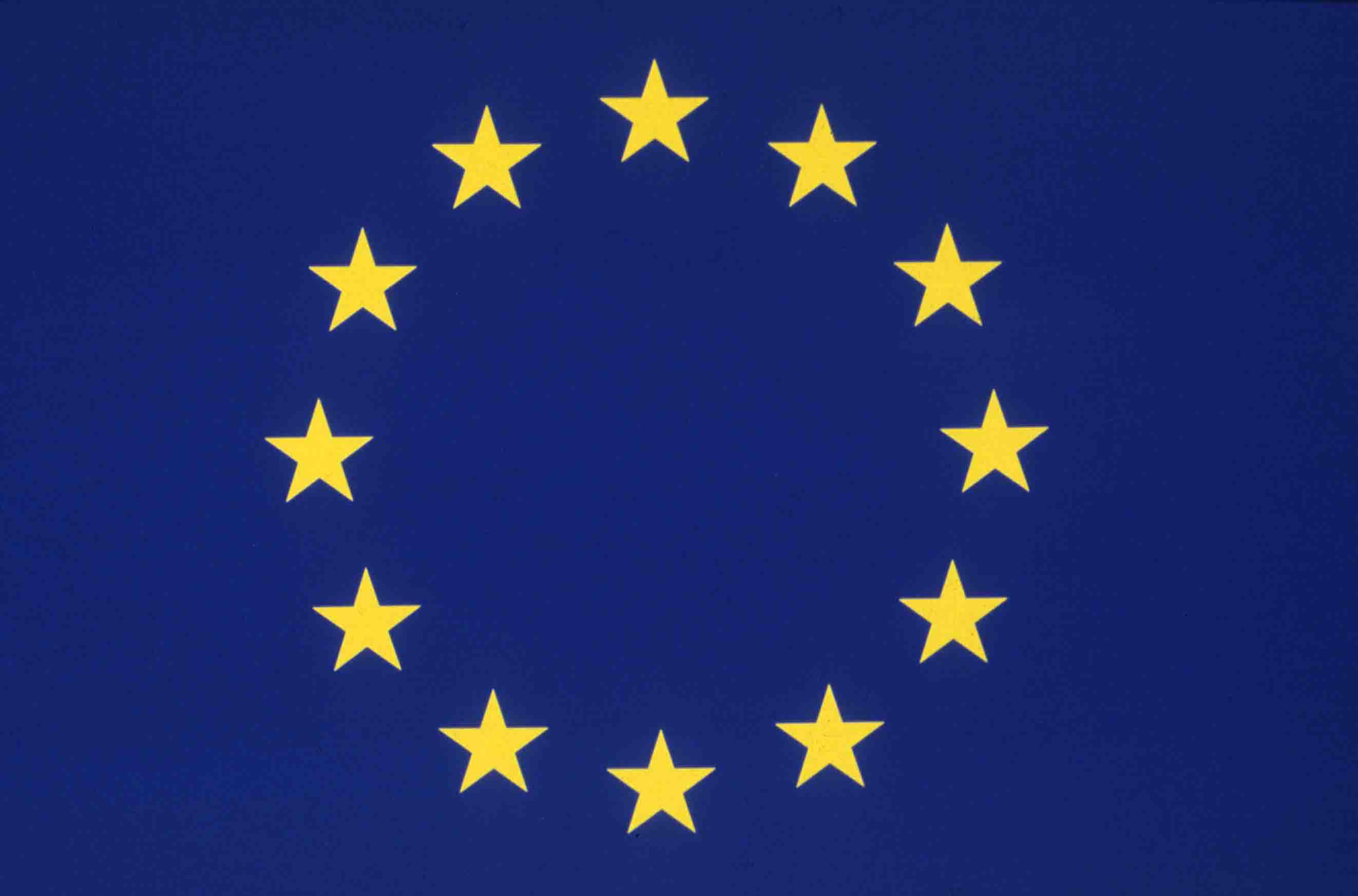 european_flag.jpg